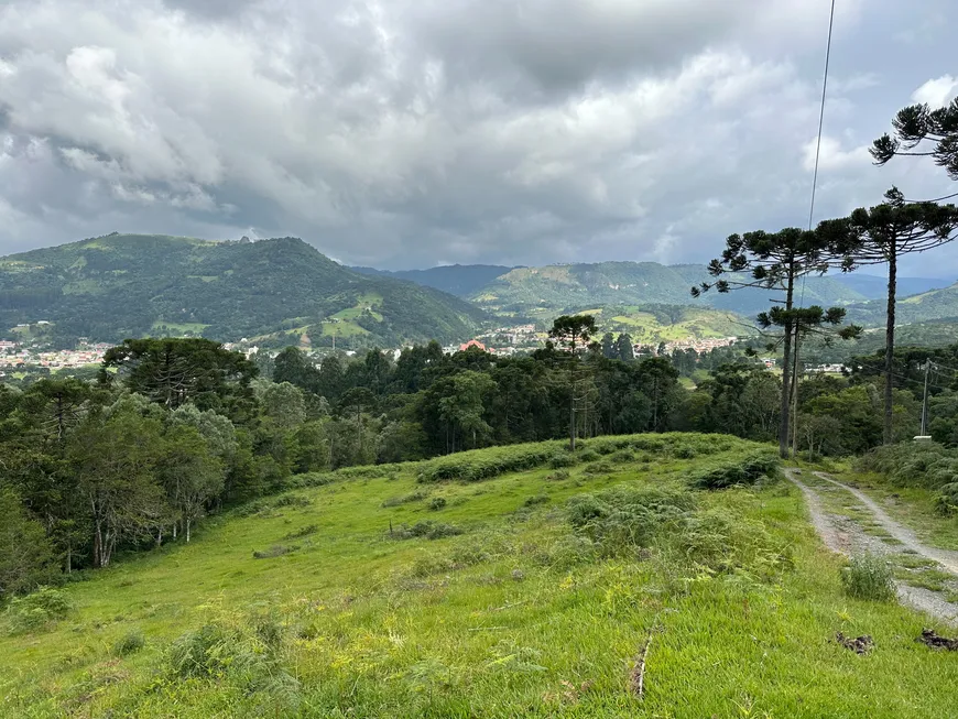 Foto 1 de Fazenda/Sítio à venda, 30000m² em , Urubici