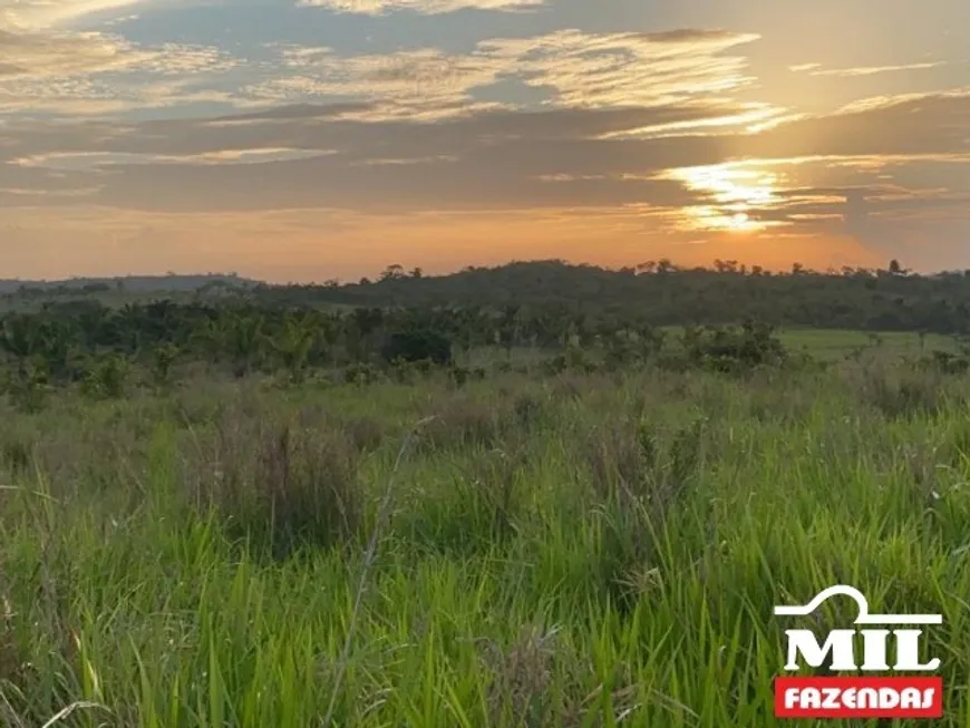 Foto 1 de Fazenda/Sítio à venda em Centro, Goianésia do Pará