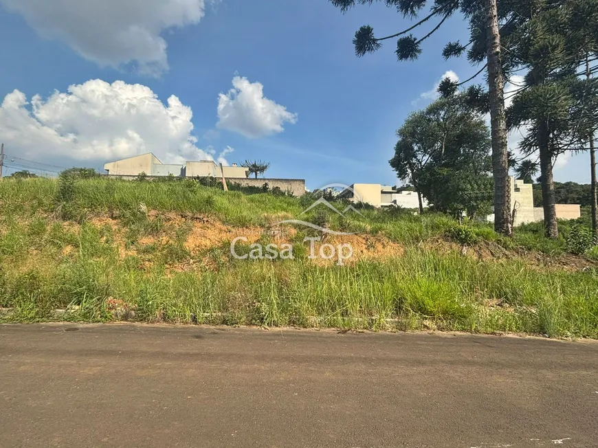 Foto 1 de Lote/Terreno à venda, 401m² em Estrela, Ponta Grossa