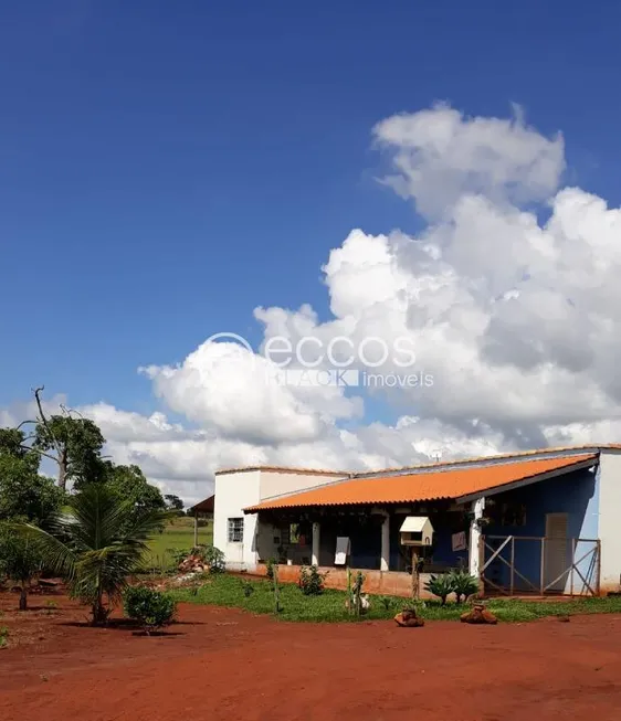 Foto 1 de Fazenda/Sítio com 2 Quartos à venda, 3000m² em Area Rural de Uberlandia, Uberlândia