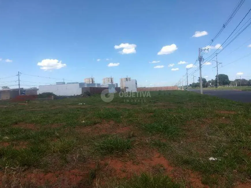 Foto 1 de Lote/Terreno para alugar, 1200m² em Residencial Lago Azul, Uberlândia