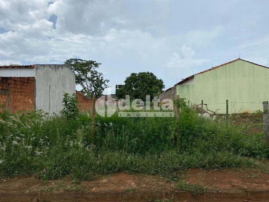 Foto 1 de Lote/Terreno à venda, 300m² em Segismundo Pereira, Uberlândia