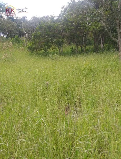 Foto 1 de Lote/Terreno à venda, 20000m² em Bom Jesus, Jacareí