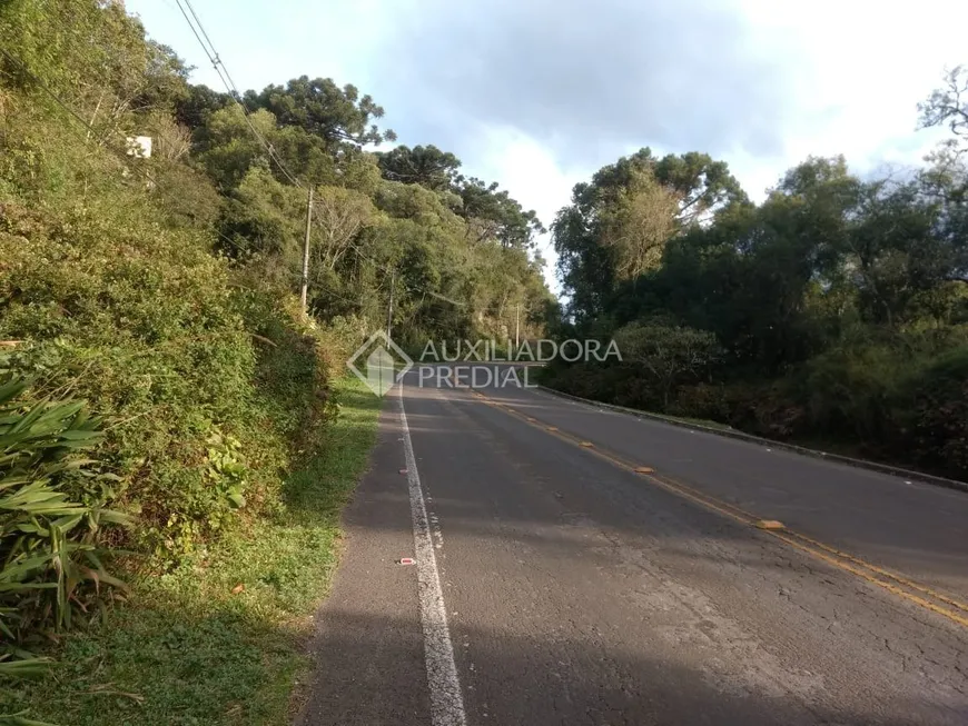 Foto 1 de Lote/Terreno à venda, 10000m² em Vila Suzana, Canela