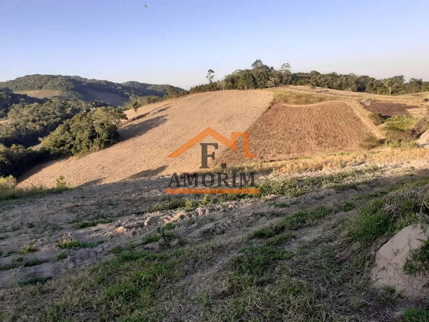 Foto 1 de Fazenda/Sítio à venda, 1573000m² em RIBEIRAO BONITO, Piedade