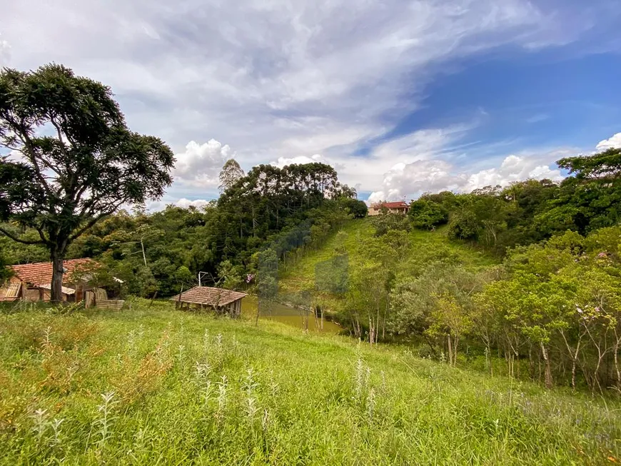 Foto 1 de Fazenda/Sítio com 2 Quartos à venda, 16698m² em Parque Alvorada, Suzano