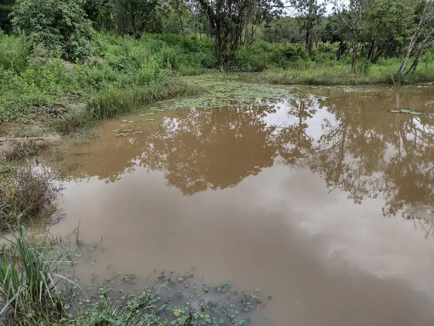 Foto 1 de Lote/Terreno à venda, 20000m² em Zona Rural, Fortuna de Minas