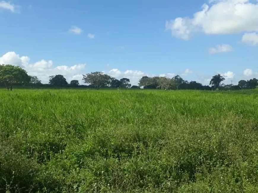 Foto 1 de Fazenda/Sítio com 3 Quartos à venda, 900000m² em , Vera Cruz