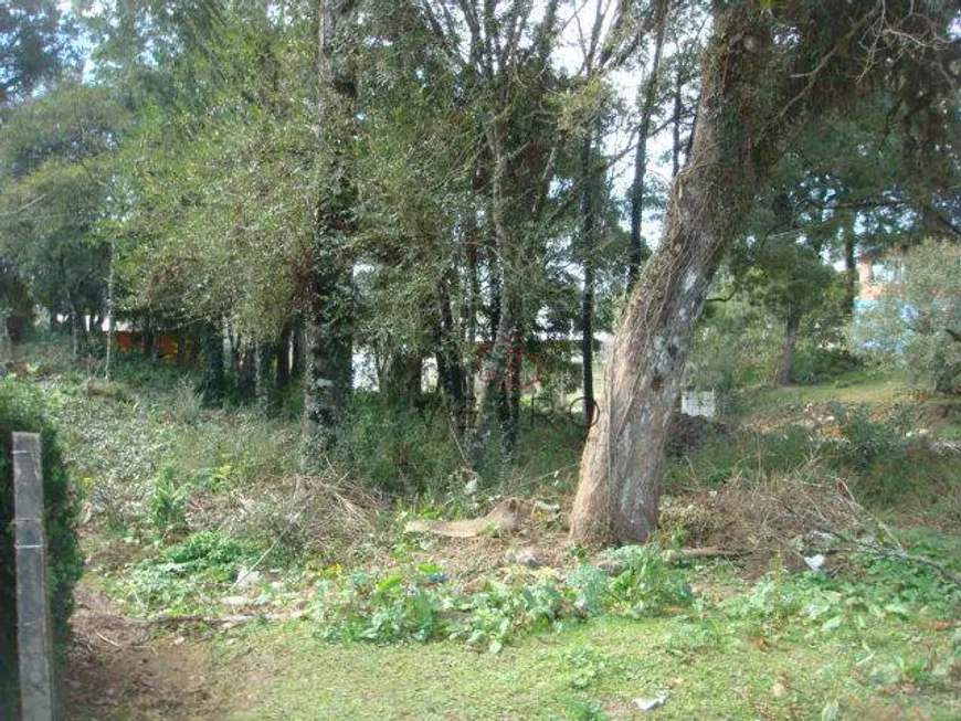 Foto 1 de Lote/Terreno à venda, 636m² em São Rafael, Canela