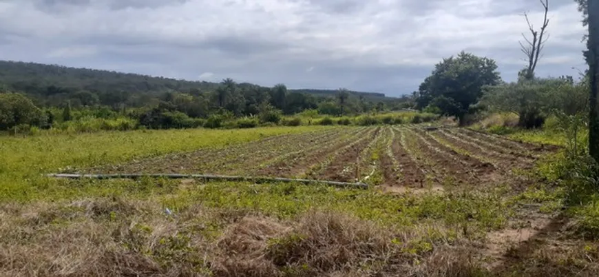 Foto 1 de Fazenda/Sítio com 2 Quartos à venda, 19500m² em Setor Residencial Leste, Brasília