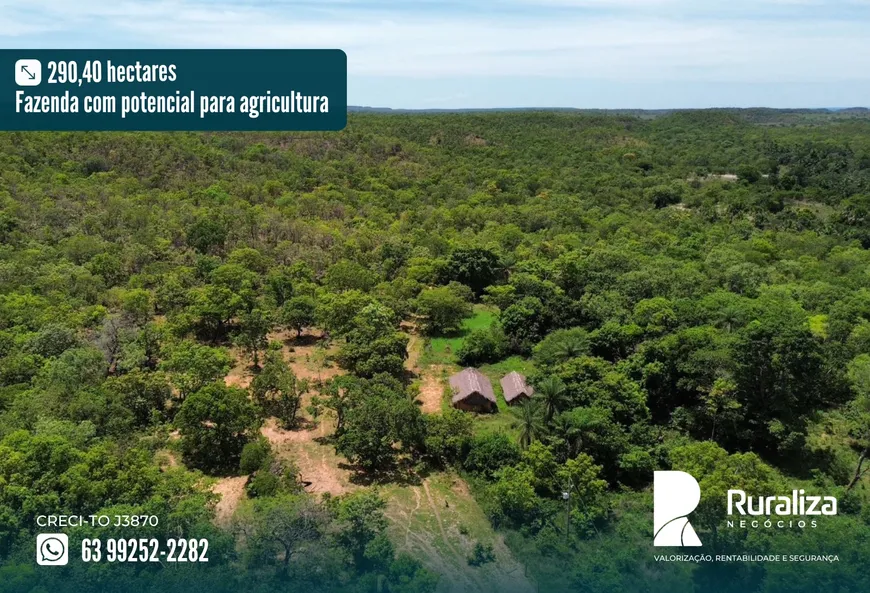 Foto 1 de Fazenda/Sítio à venda, 290m² em Zona Rural, Ponte Alta do Tocantins