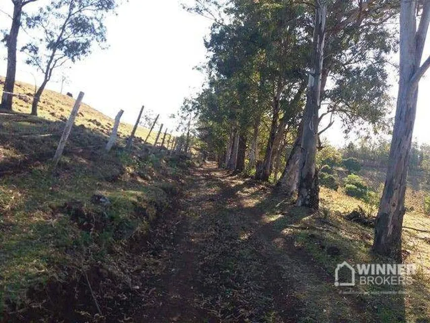 Foto 1 de Fazenda/Sítio à venda, 290400m² em , Mandaguari