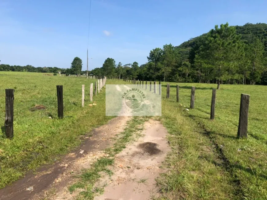 Foto 1 de Fazenda/Sítio com 5 Quartos à venda, 909000m² em Centro, Araquari