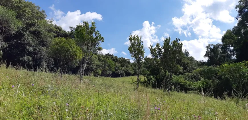 Foto 1 de Fazenda/Sítio à venda, 26000m² em Lomba Grande, Novo Hamburgo