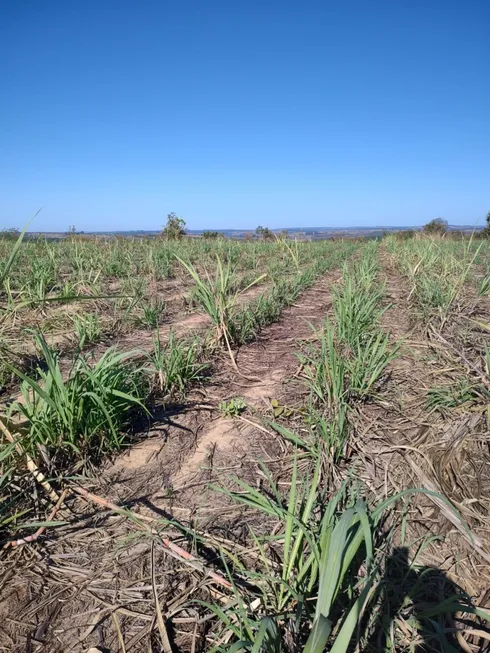 Foto 1 de Fazenda/Sítio com 2 Quartos à venda, 4000000m² em Zona Rural, Pompéu