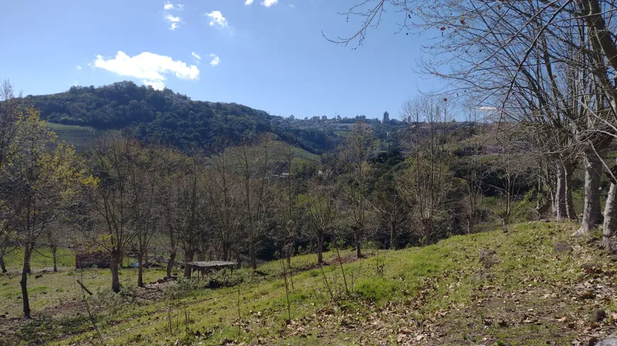 Foto 1 de Fazenda/Sítio à venda, 25000m² em Merlot, Bento Gonçalves