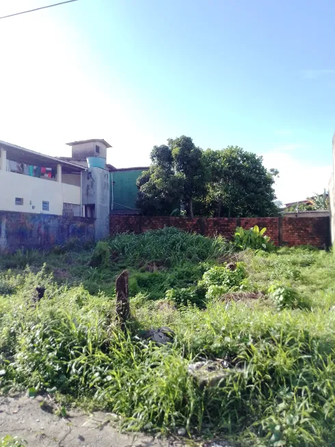 Foto 1 de Lote/Terreno à venda, 322m² em Mar Grande, Vera Cruz