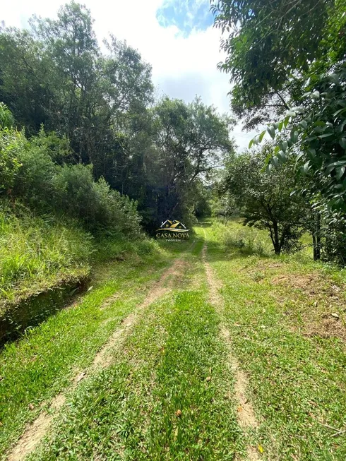 Foto 1 de Fazenda/Sítio com 2 Quartos à venda, 25732m² em Jardim Serrinha, Balsa Nova