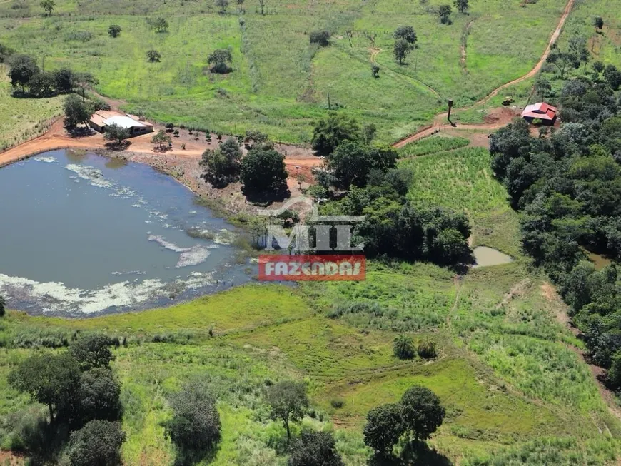 Foto 1 de Fazenda/Sítio com 4 Quartos à venda em Zona Rural, Santa Terezinha de Goiás