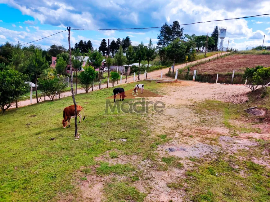 Foto 1 de Fazenda/Sítio com 3 Quartos à venda, 16536m² em , Quitandinha