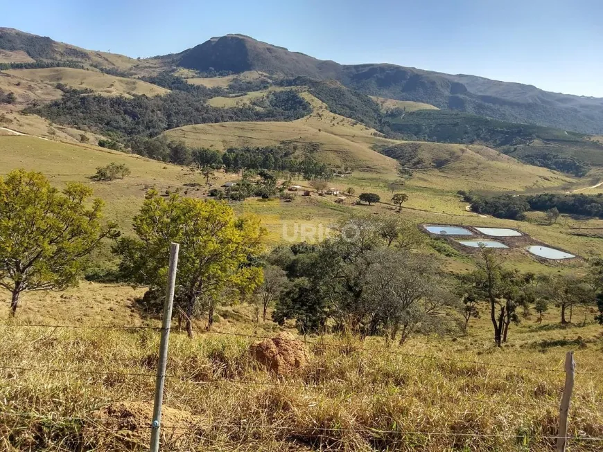 Foto 1 de Fazenda/Sítio com 3 Quartos à venda, 115000m² em , Ilicínea