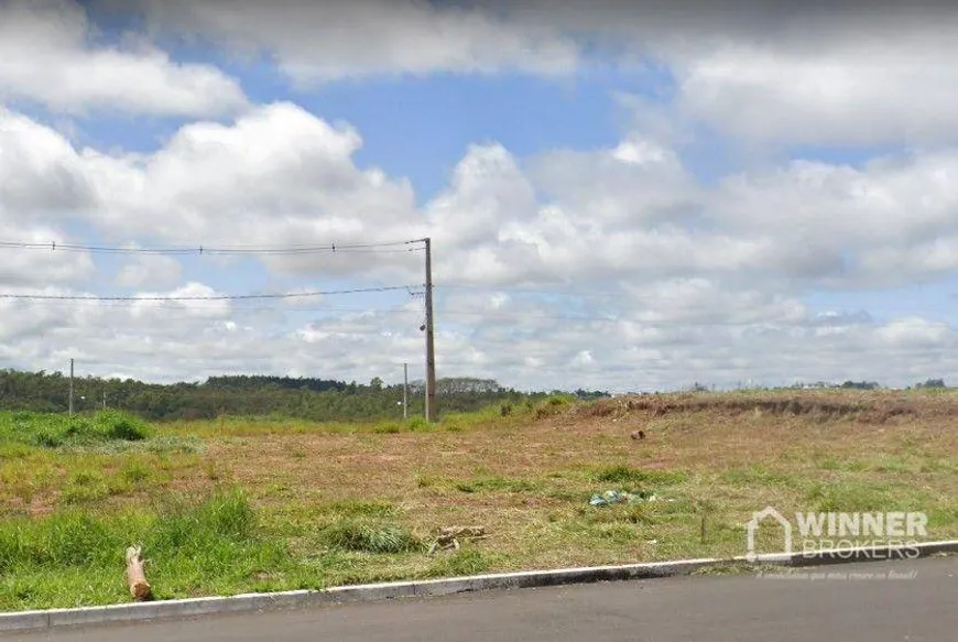 Foto 1 de Lote/Terreno à venda, 520m² em Conjunto Habitacional Sonho Meu, Umuarama