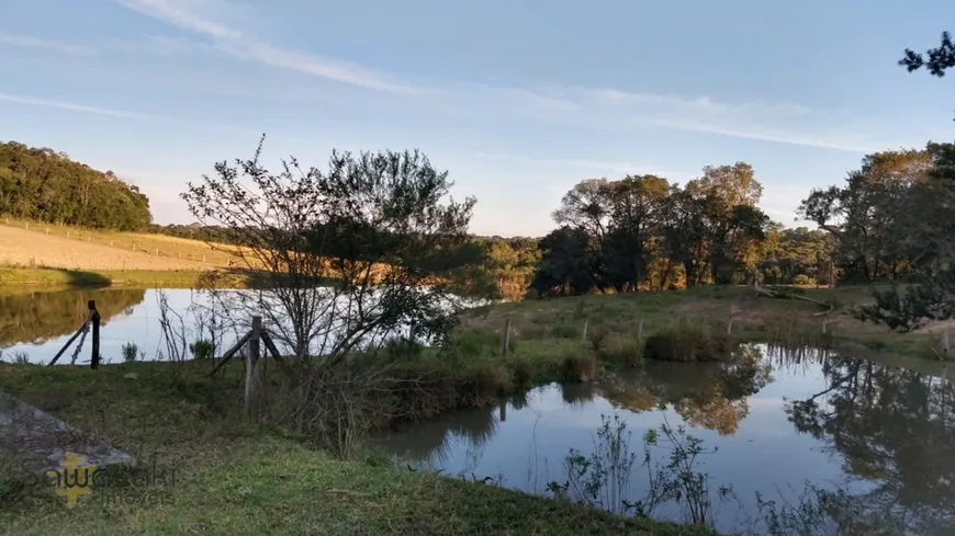 Foto 1 de Fazenda/Sítio com 4 Quartos à venda, 252000m² em Faxina, São José dos Pinhais