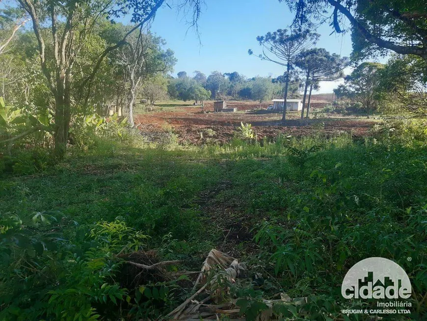 Foto 1 de Lote/Terreno à venda, 6000m² em Rio do Salto, Cascavel