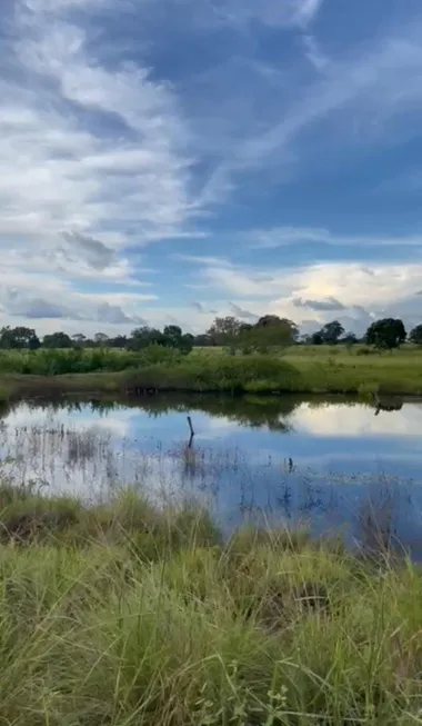 Foto 1 de Fazenda/Sítio à venda em Centro, Imperatriz