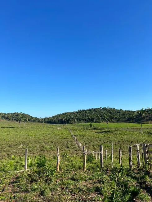 Foto 1 de Fazenda/Sítio à venda em , Itapecuru Mirim