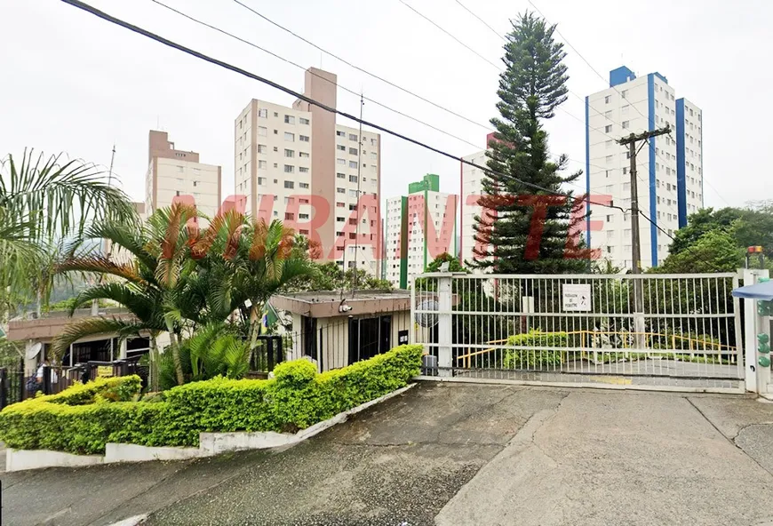 Foto 1 de Apartamento com 2 Quartos à venda, 55m² em Jardim Peri, São Paulo