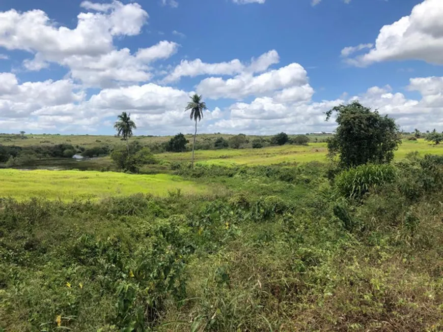 Foto 1 de Fazenda/Sítio com 5 Quartos à venda, 590000m² em Monte Alegre, Monte Alegre