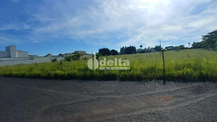 Foto 1 de Lote/Terreno à venda, 874m² em Gávea, Uberlândia