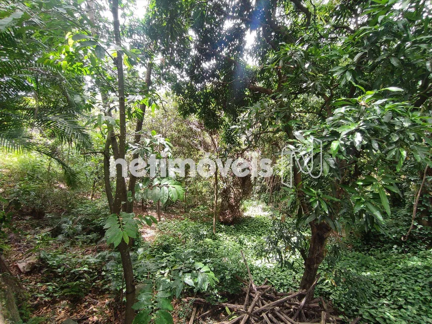 Foto 1 de Lote/Terreno à venda, 354m² em Fradinhos, Vitória