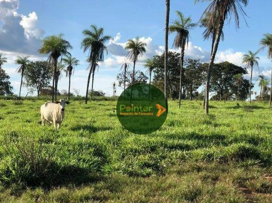 Foto 1 de Fazenda/Sítio à venda, 5320000m² em Zona Rural, Gurupi