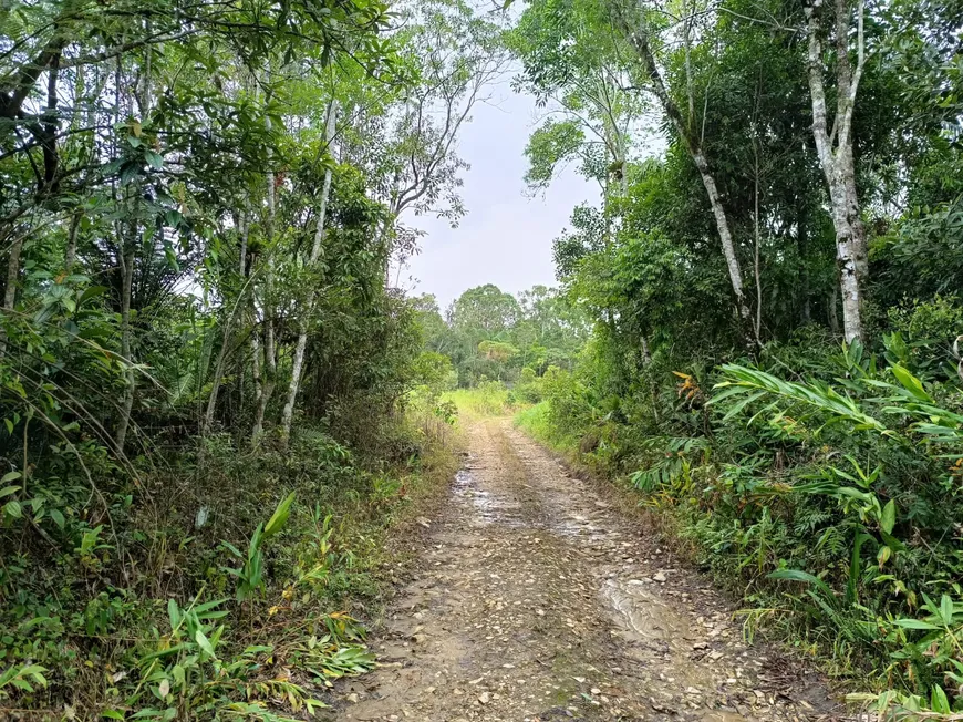 Foto 1 de Fazenda/Sítio à venda, 20000m² em Boa Vista, Mogi das Cruzes