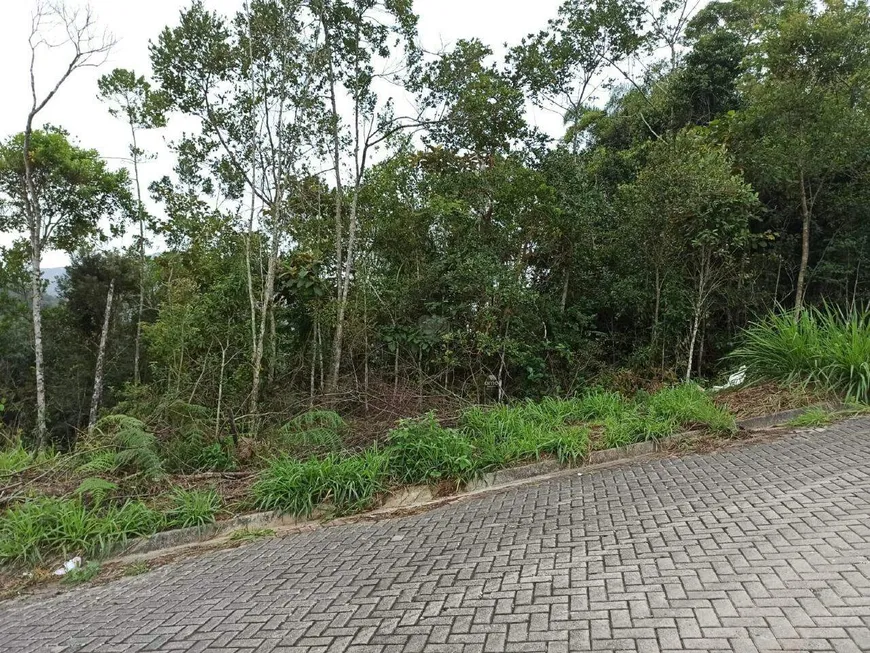 Foto 1 de Lote/Terreno à venda, 479m² em Limeira Baixa, Brusque