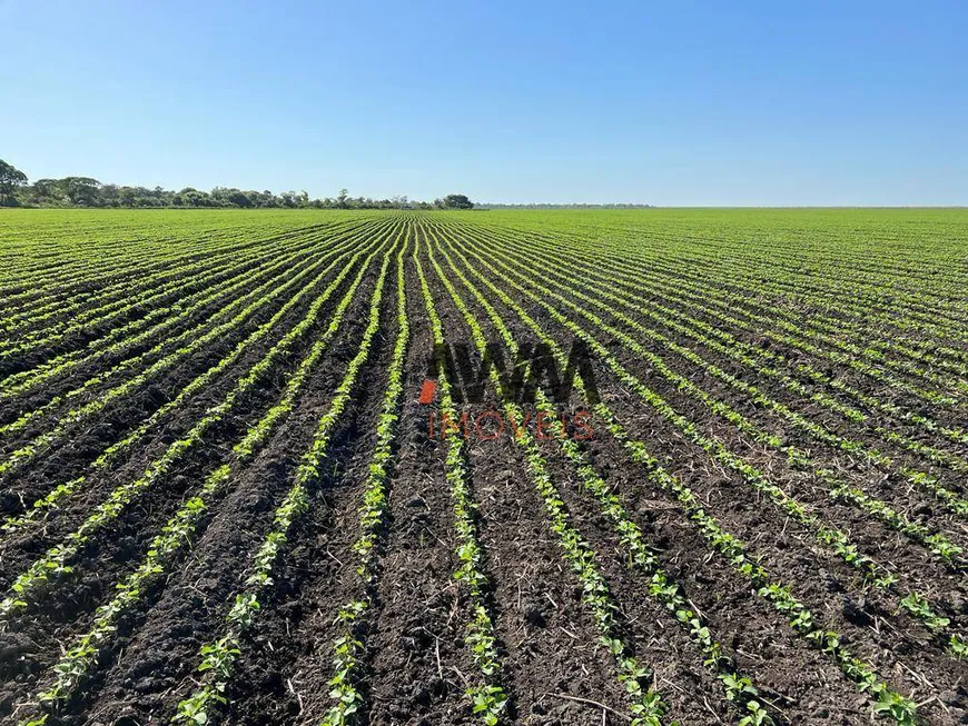 Foto 1 de Fazenda/Sítio à venda, 150000000m² em Centro, São José do Xingu