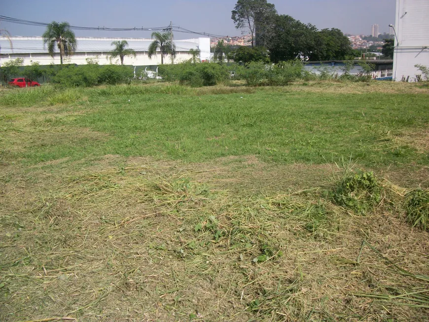 Foto 1 de Lote/Terreno à venda, 567115m² em Protestantes, Votorantim