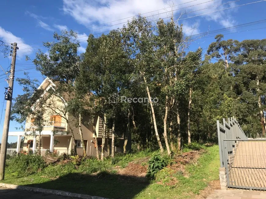 Foto 1 de Lote/Terreno à venda, 847m² em Vale das Colinas, Gramado