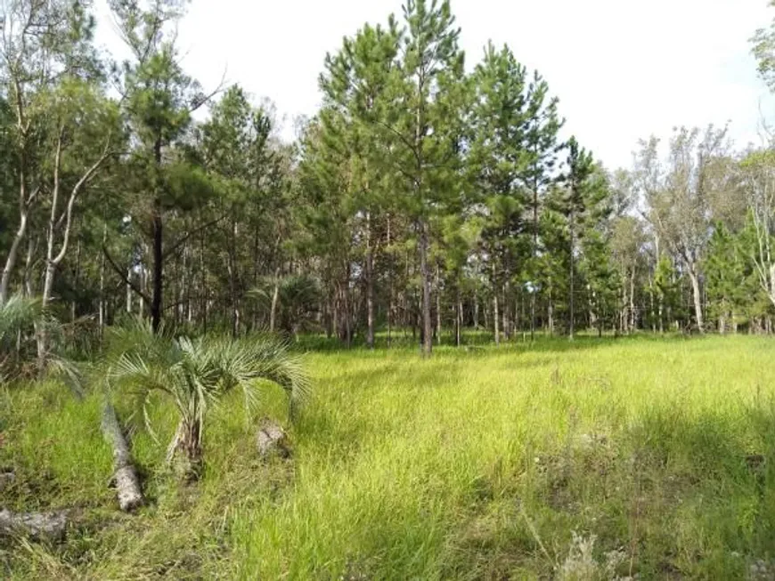 Foto 1 de Lote/Terreno à venda, 3500000m² em Restinga, Porto Alegre