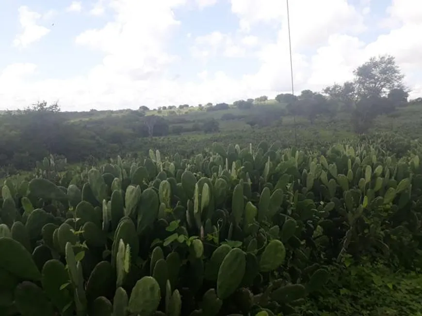 Foto 1 de Fazenda/Sítio com 3 Quartos à venda, 137000m² em Centro, São Pedro