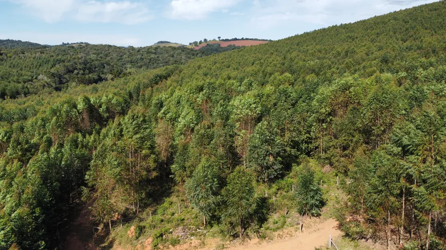 Foto 1 de Fazenda/Sítio com 2 Quartos à venda, 1621400m² em Centro, Itapeva