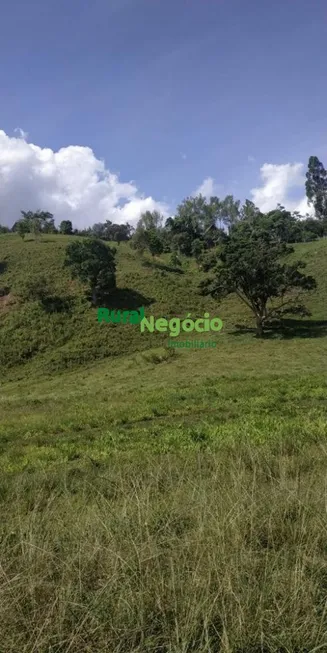 Foto 1 de Fazenda/Sítio à venda, 20000m² em Centro, Cunha