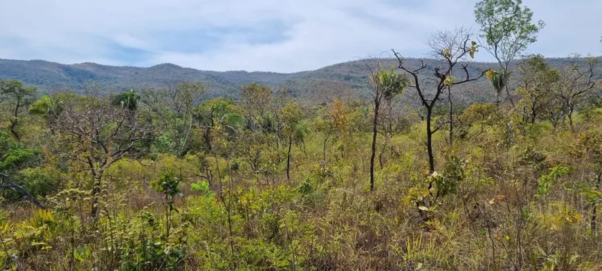 Foto 1 de Fazenda/Sítio à venda em Rural, Paranã