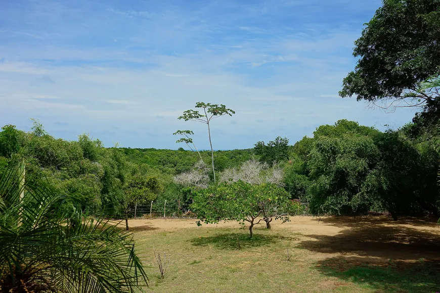 Foto 1 de Fazenda/Sítio com 4 Quartos à venda, 200000m² em Zona Rural, Canguaretama