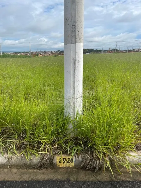 Foto 1 de Lote/Terreno à venda, 212m² em , Américo Brasiliense