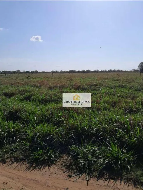 Foto 1 de Fazenda/Sítio à venda, 900m² em , Peixe