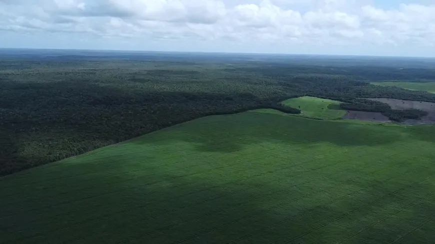 Foto 1 de Fazenda/Sítio à venda, 1450000m² em Centro, Santa Quitéria do Maranhão