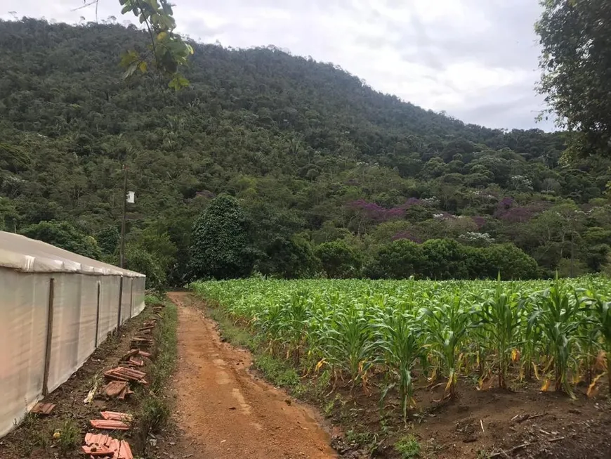 Foto 1 de Fazenda/Sítio com 1 Quarto à venda, 200m² em , Santa Leopoldina